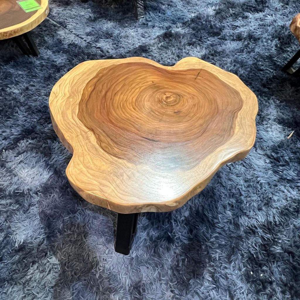 WhatsApp Image 2026-03-19 at 3.44.23 PM (1)