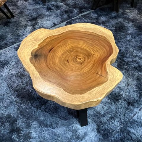 WhatsApp Image 2026-03-19 at 3.44.23 PM (3)