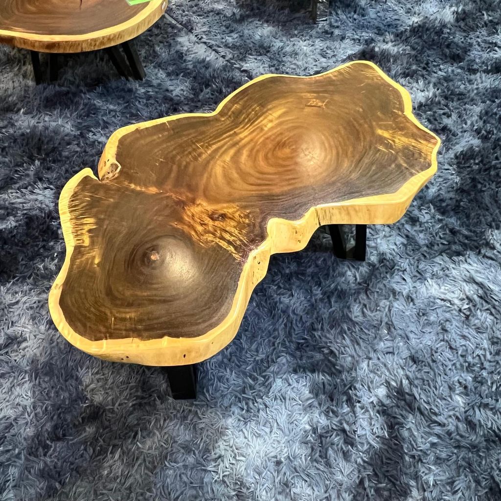 WhatsApp Image 2026-03-19 at 3.44.23 PM (1)