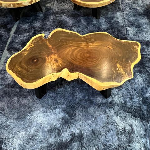 WhatsApp Image 2026-03-19 at 3.44.23 PM