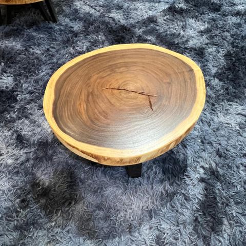 WhatsApp Image 2026-03-19 at 3.44.23 PM (1)