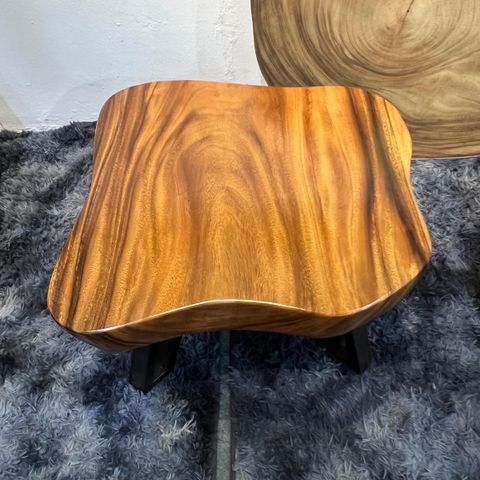 WhatsApp Image 2026-03-19 at 3.44.23 PM