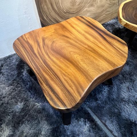 WhatsApp Image 2026-03-19 at 3.44.23 PM (1)