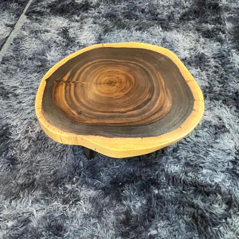 WhatsApp Image 2026-03-19 at 3.44.23 PM