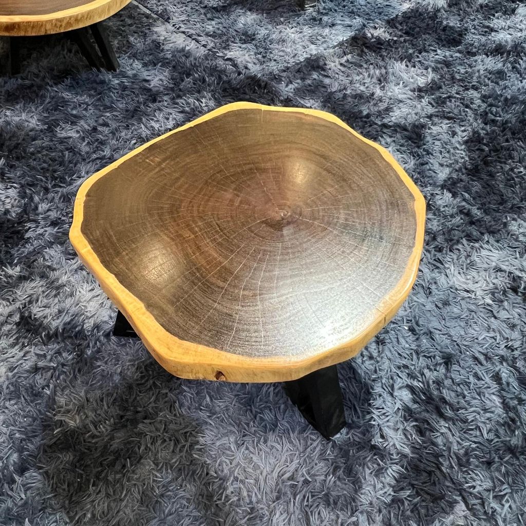 WhatsApp Image 2026-03-19 at 3.44.23 PM (1)