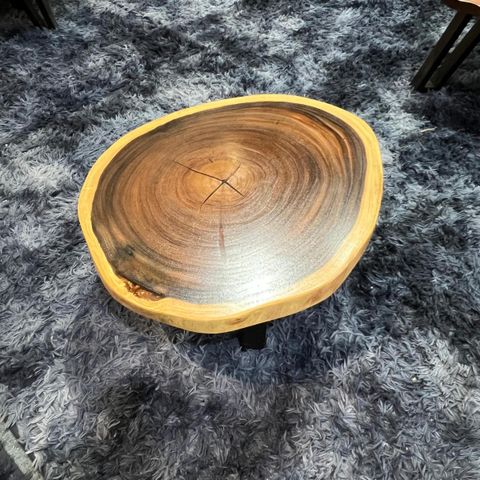 WhatsApp Image 2026-03-19 at 3.44.22 PM (1)