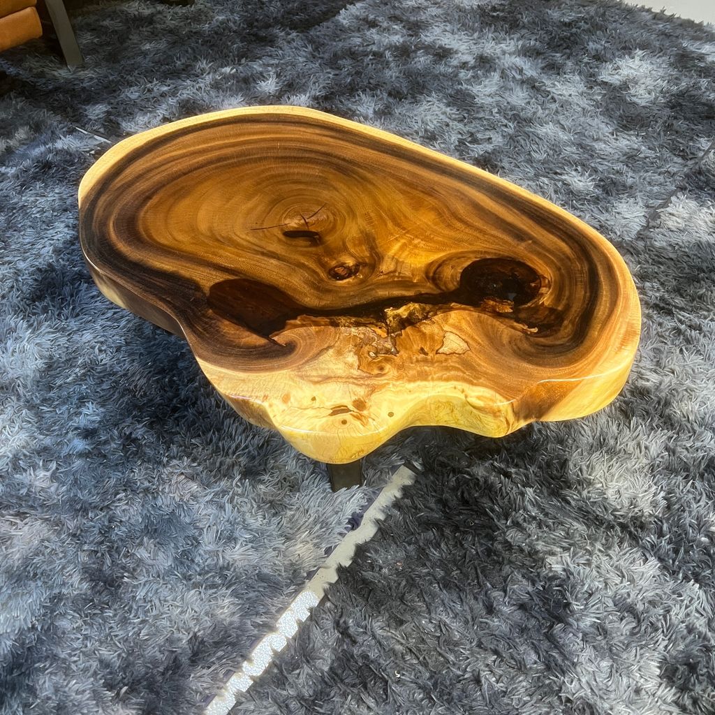 XDNT1603