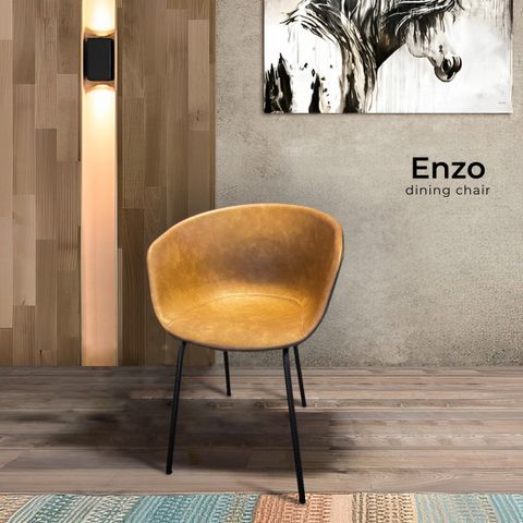 Enzo-09