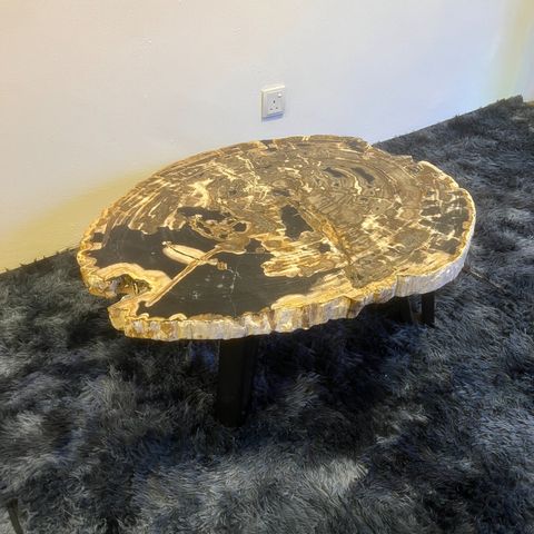 WhatsApp Image 2025-08-05 at 6.27.47 PM