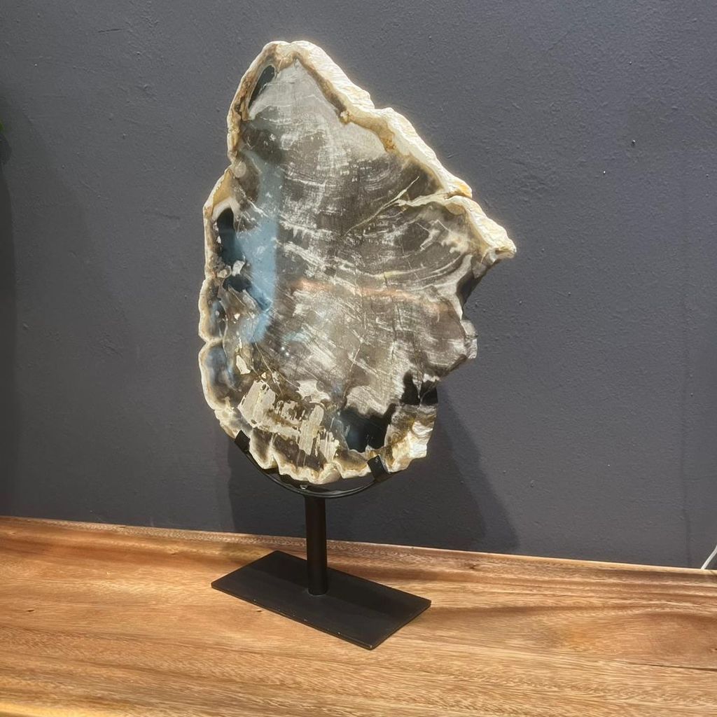 WhatsApp Image 2025-11-21 at 11.00.34 AM