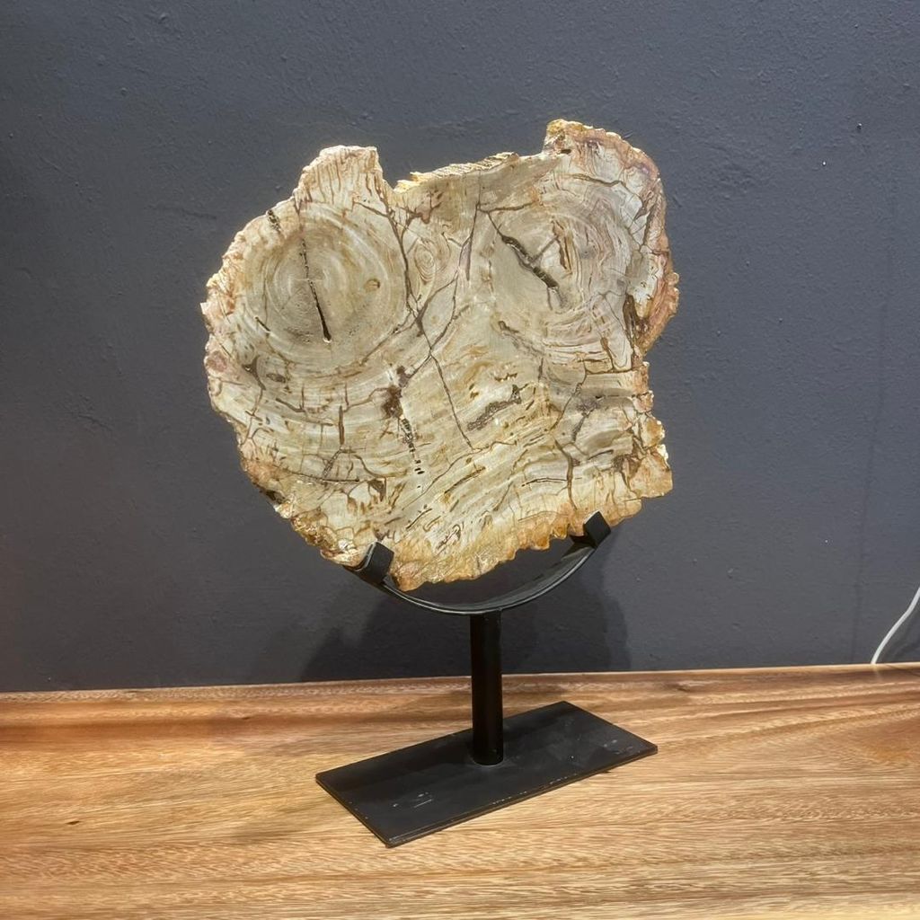 WhatsApp Image 2025-11-21 at 11.00.35 AM