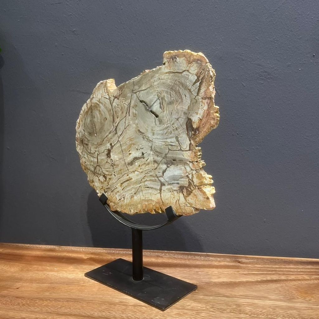 WhatsApp Image 2025-11-21 at 11.00.34 AM