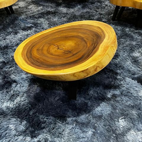 WhatsApp Image 2026-01-22 at 7.06.47 PM