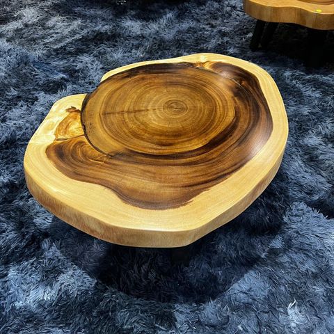 WhatsApp Image 2026-01-22 at 7.06.48 PM