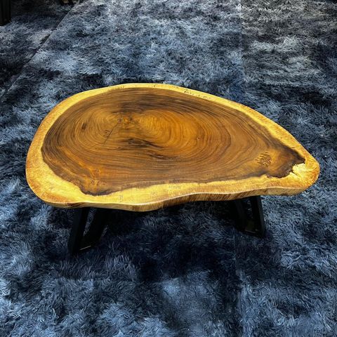 WhatsApp Image 2026-01-22 at 7.06.49 PM