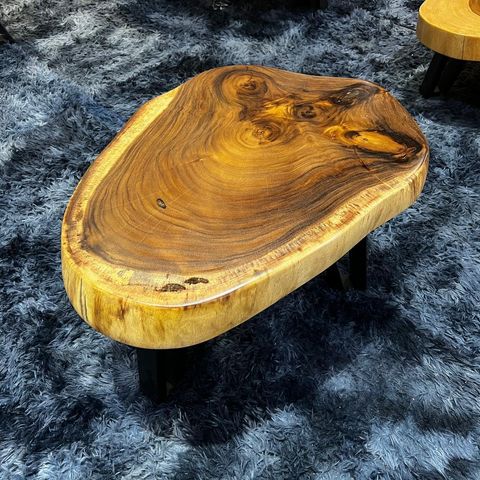 WhatsApp Image 2026-01-22 at 7.06.50 PM (1)