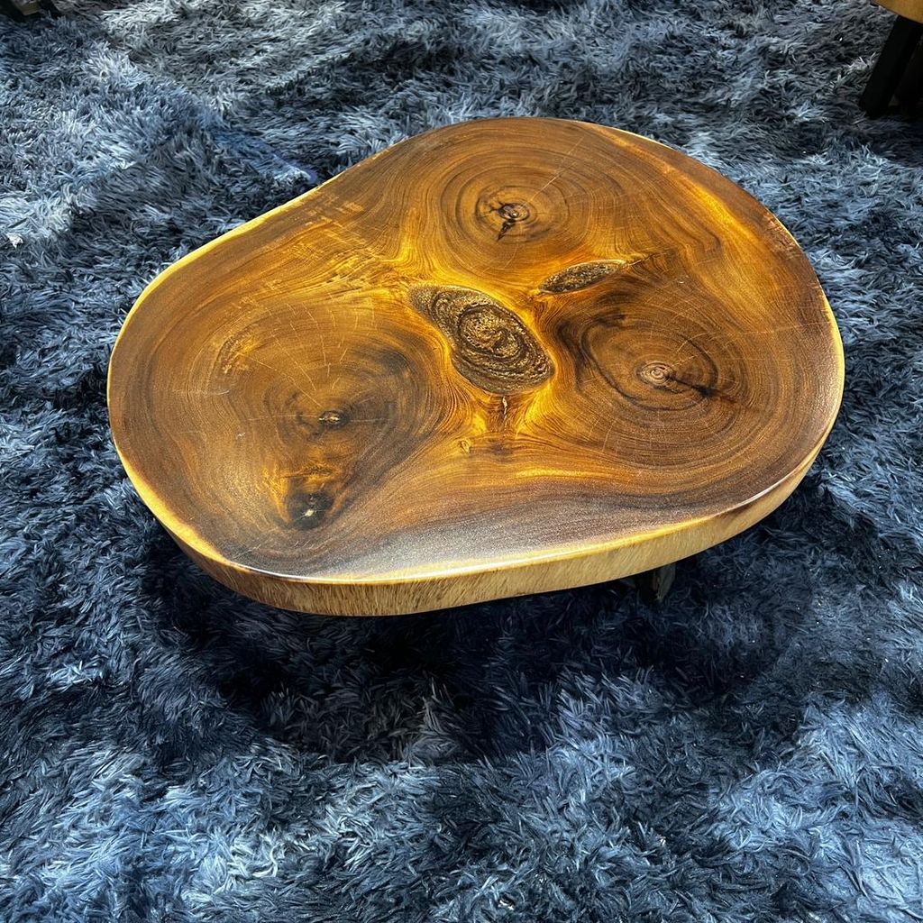 WhatsApp Image 2026-01-22 at 7.06.51 PM (1)