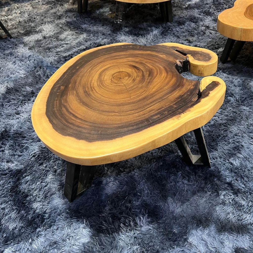 WhatsApp Image 2026-01-22 at 7.06.54 PM