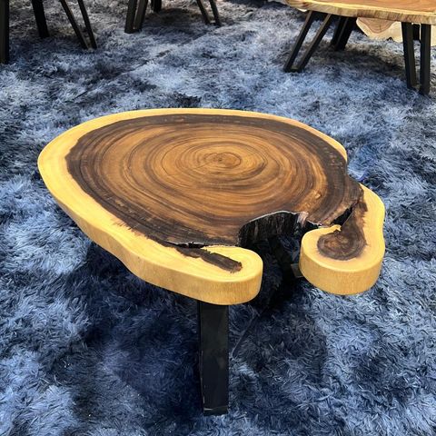 WhatsApp Image 2026-01-22 at 7.06.53 PM