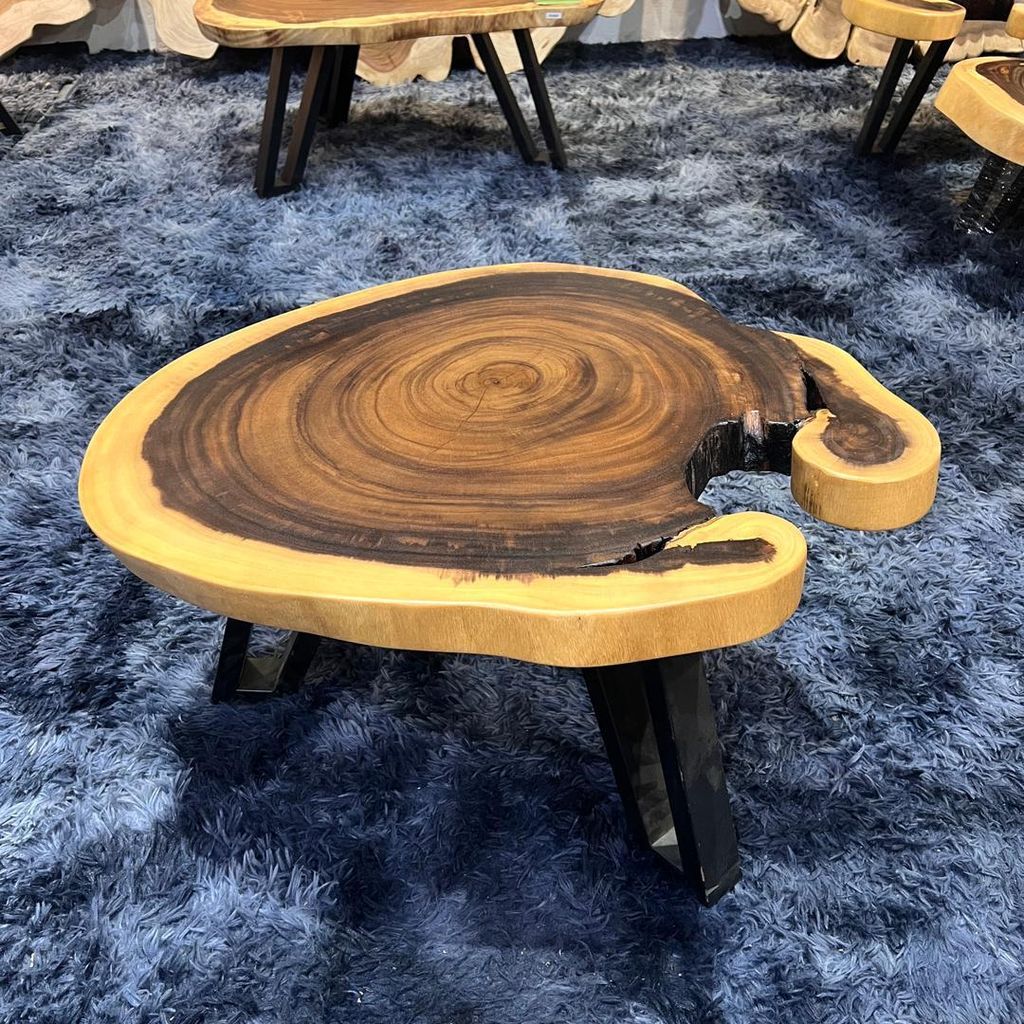 WhatsApp Image 2026-01-22 at 7.06.53 PM (1)