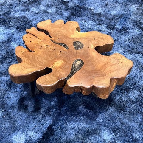 WhatsApp Image 2026-01-22 at 7.06.56 PM