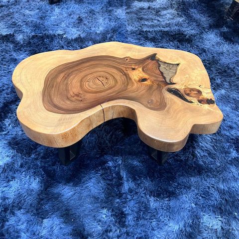 WhatsApp Image 2026-01-22 at 7.13.08 PM