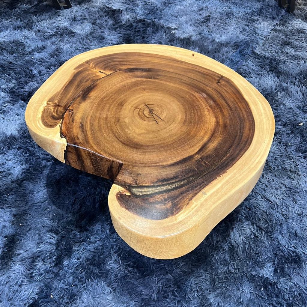 WhatsApp Image 2026-01-22 at 7.13.11 PM