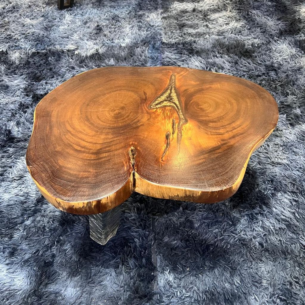 WhatsApp Image 2026-01-22 at 7.13.12 PM