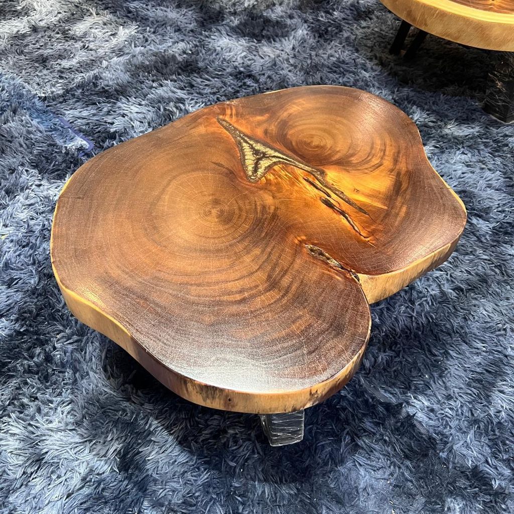 WhatsApp Image 2026-01-22 at 7.13.13 PM