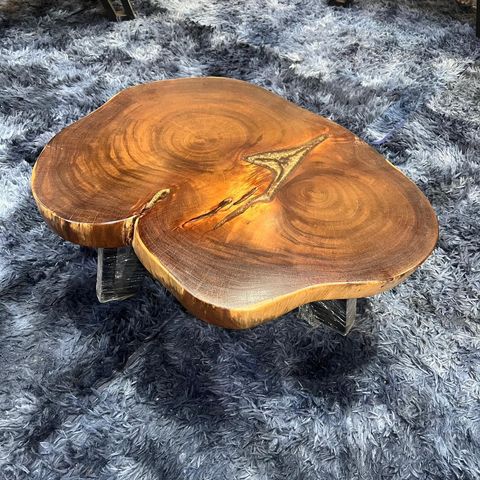 WhatsApp Image 2026-01-22 at 7.13.12 PM (1)