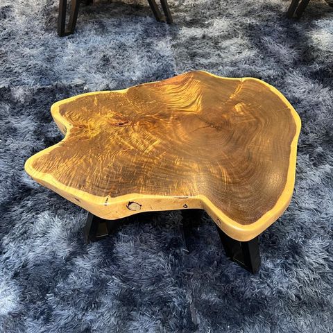 WhatsApp Image 2026-01-22 at 7.13.14 PM