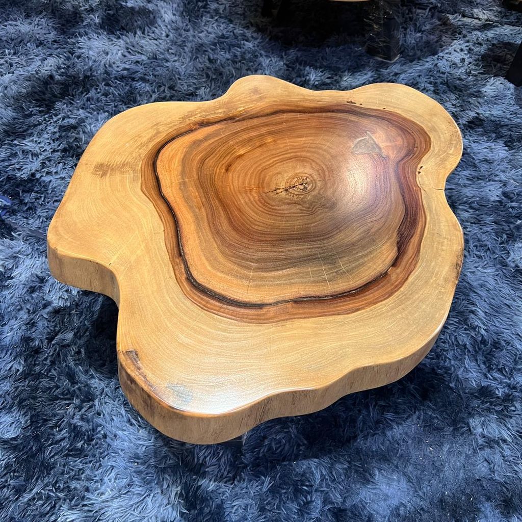 WhatsApp Image 2026-01-22 at 7.13.15 PM (1)