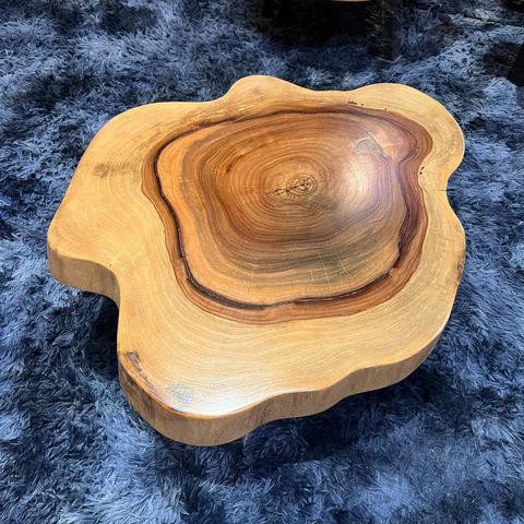 WhatsApp Image 2026-01-22 at 7.13.15 PM (1)