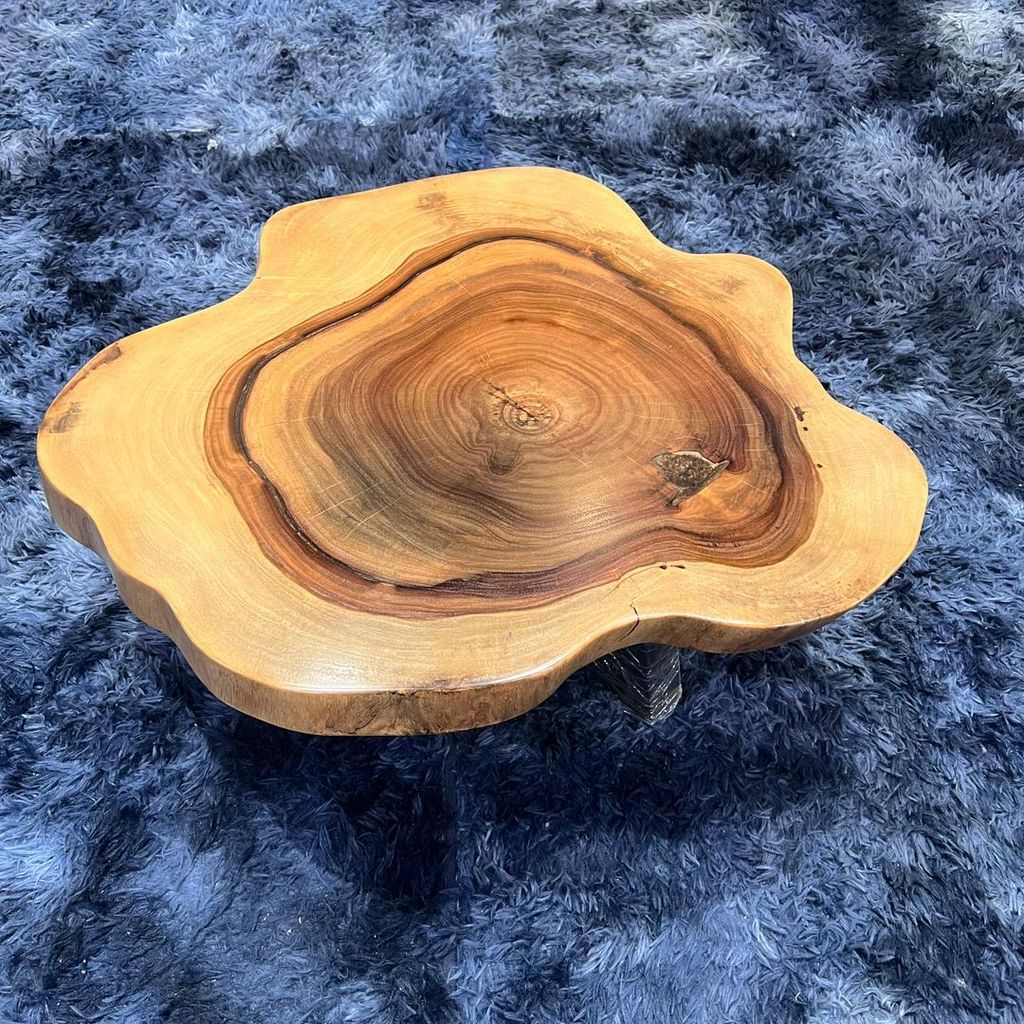 WhatsApp Image 2026-01-22 at 7.13.15 PM