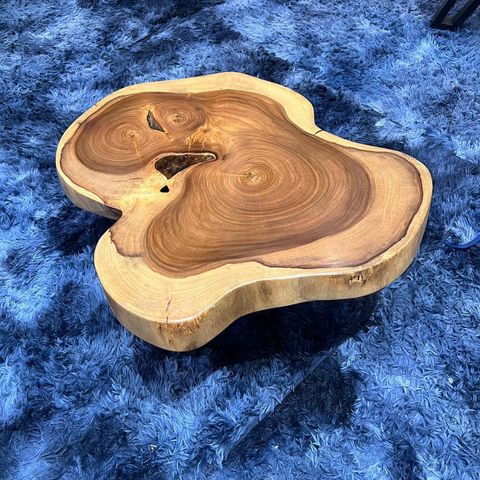 WhatsApp Image 2026-01-22 at 7.13.16 PM