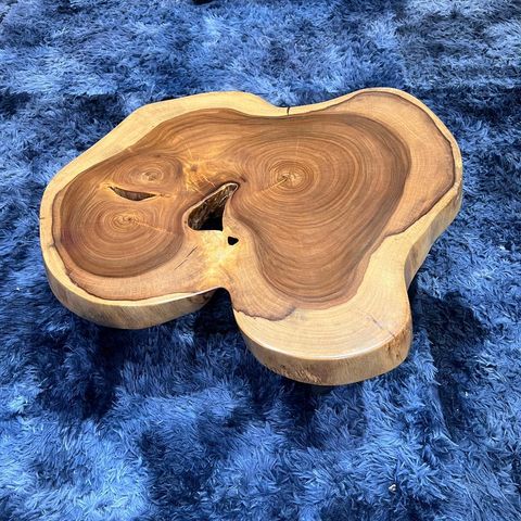 WhatsApp Image 2026-01-22 at 7.13.16 PM (1)