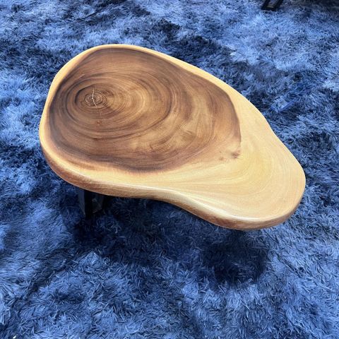 WhatsApp Image 2026-01-23 at 3.54.35 PM