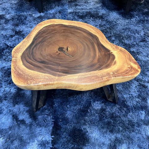 WhatsApp Image 2026-01-23 at 3.54.39 PM