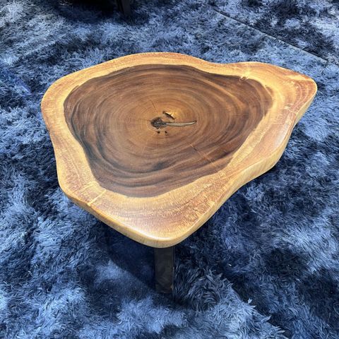 WhatsApp Image 2026-01-23 at 3.54.39 PM (1)