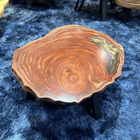 WhatsApp Image 2026-01-23 at 3.54.40 PM (1)