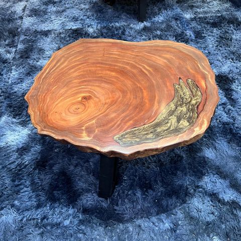 WhatsApp Image 2026-01-23 at 3.54.40 PM