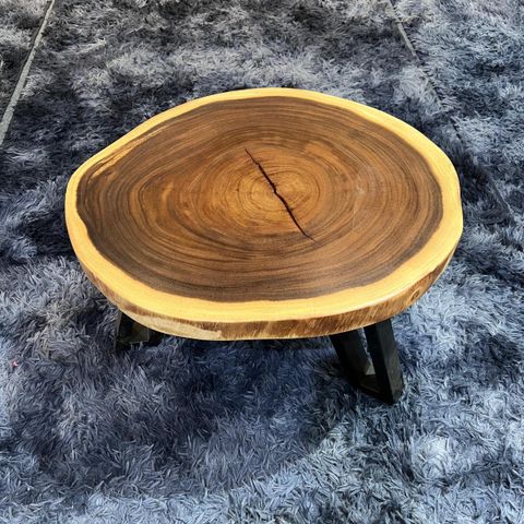 WhatsApp Image 2026-01-23 at 3.54.40 PM