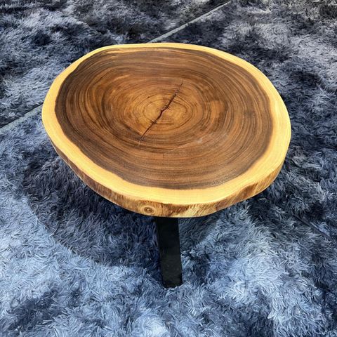 WhatsApp Image 2026-01-23 at 3.54.40 PM (2)