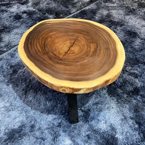 WhatsApp Image 2026-01-23 at 3.54.40 PM (2)