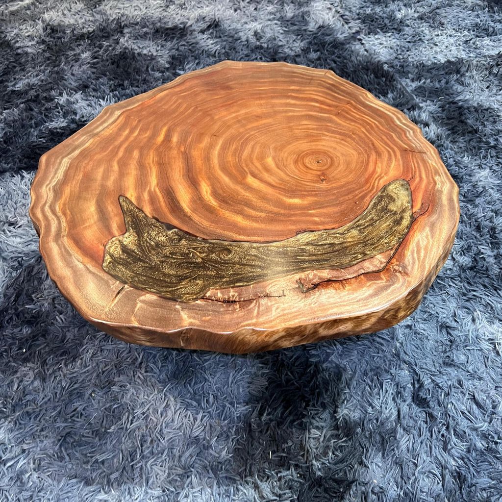 WhatsApp Image 2026-01-23 at 3.54.41 PM