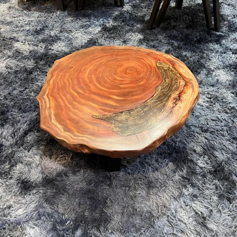 WhatsApp Image 2026-01-23 at 3.54.41 PM (1)