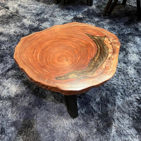 WhatsApp Image 2026-01-23 at 3.54.41 PM (1)