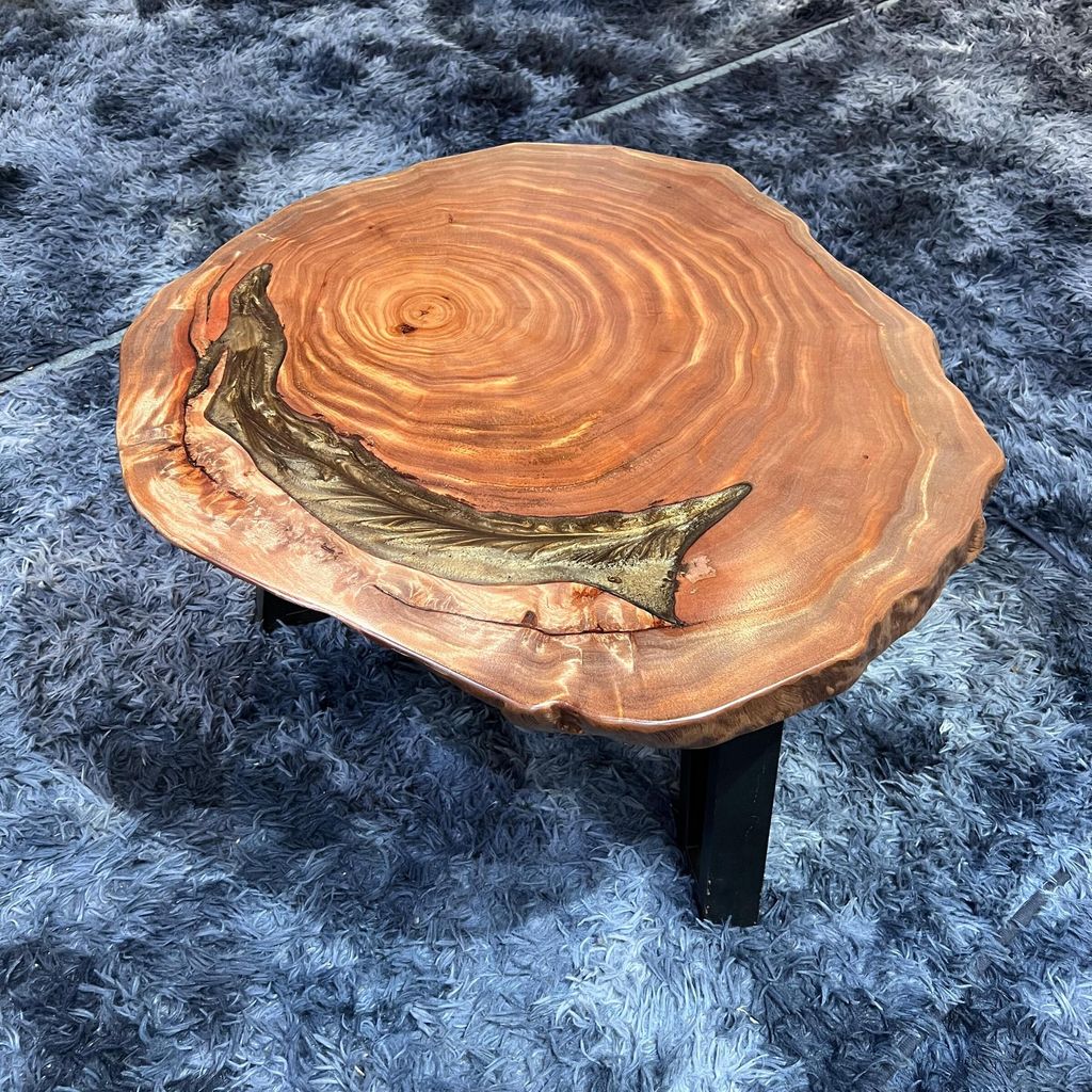 WhatsApp Image 2026-01-23 at 3.54.41 PM (2)