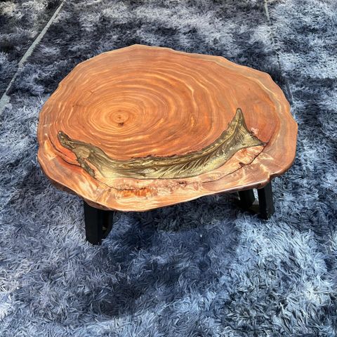 WhatsApp Image 2026-01-23 at 3.54.41 PM