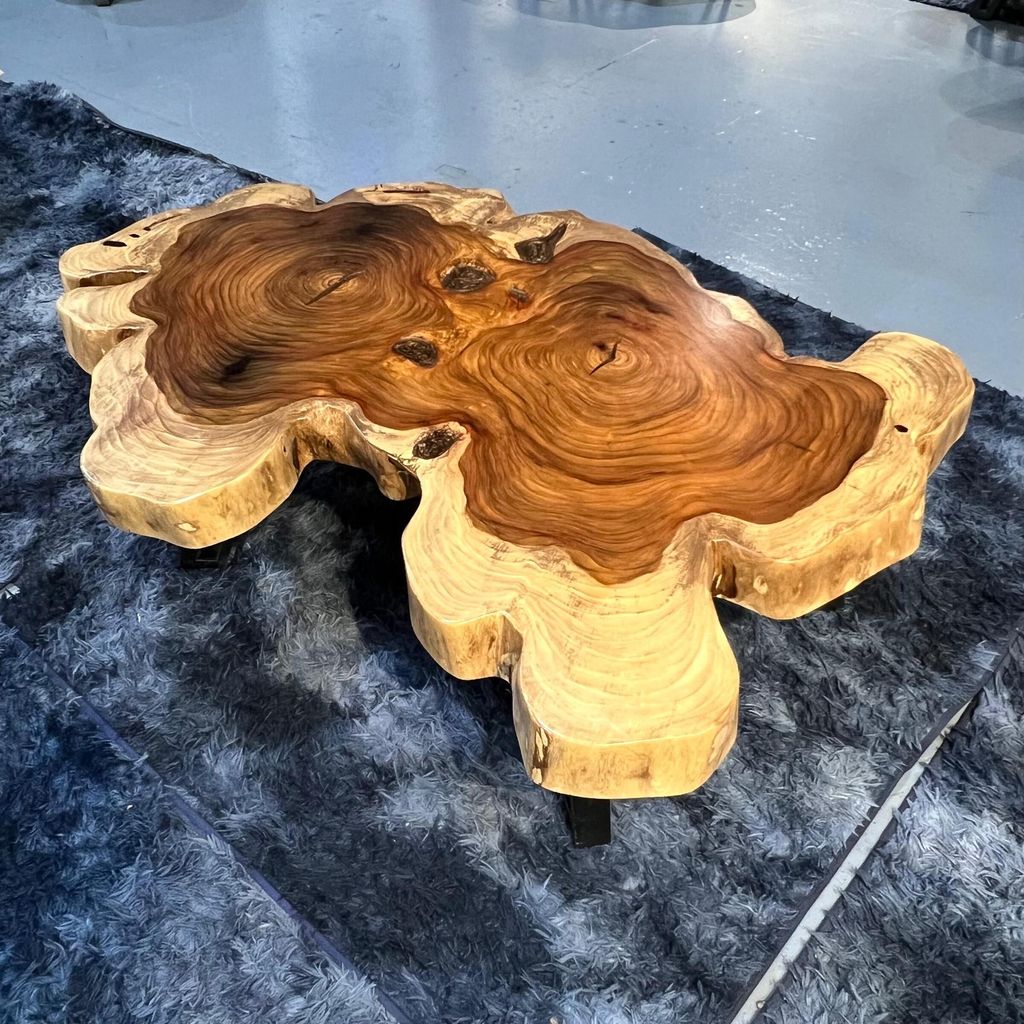 WhatsApp Image 2026-01-25 at 4.58.51 PM (2)